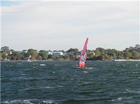 Foil Fest 2021 Action at the Goolangatup Sailing Carnival