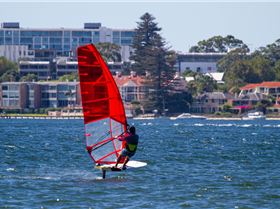 Perth Swan shark nursery