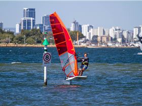 Perth Swan shark nursery