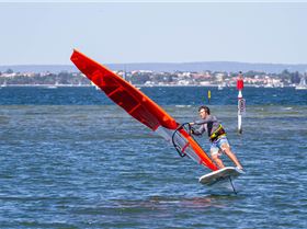 Perth Swan shark nursery