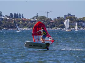 Perth Swan shark nursery