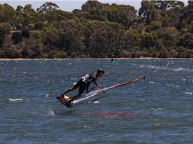 Perth Swan shark nursery