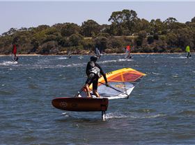 Perth Swan shark nursery