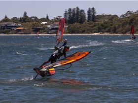 Perth Swan shark nursery