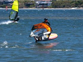 Perth Swan shark nursery
