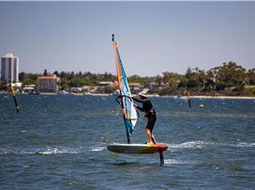 Perth Swan shark nursery