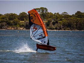 Perth Swan shark nursery