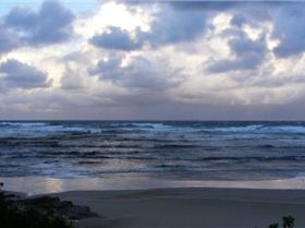 Birubi brwon water impersonation