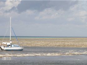 green island speed run