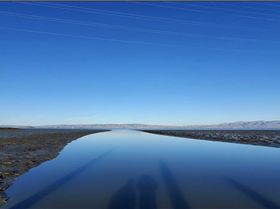 Screen Shot 2021-05-12 at 4.55.15 pm