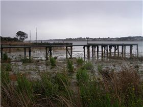 Goolwa in big trouble!!!