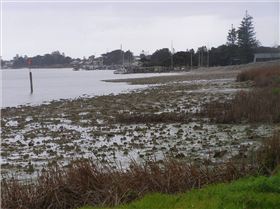 Goolwa in big trouble!!!