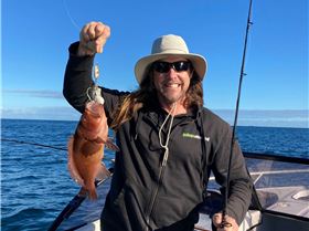 23422716640168664783829417548556019411944272n