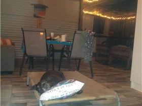 thumbnailIMG20210604183614681