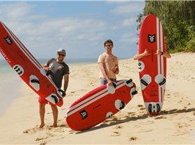 Future Fly Dark Horse