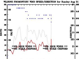 hmm...now what should I rig up?