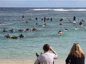 240933255101588627054432717893870674378871604n