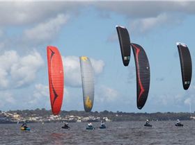 Foil Fest Winter Series 2021