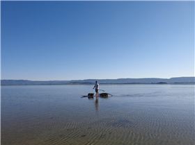 Tex  Lake cleanup 005