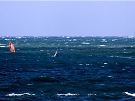 Windy Sunday Caloundra