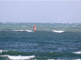 Windy Sunday Caloundra