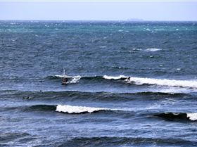 Windy Sunday Caloundra