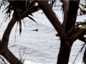 Windy Sunday Caloundra