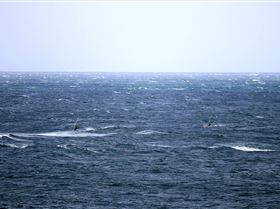 Windy Sunday Caloundra