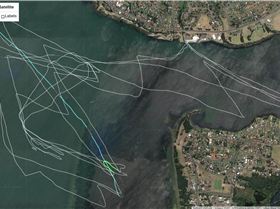 NSW Race board series