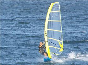 Albert back in April