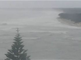 Screen Shot 2022-01-17 at 6.36.12 am