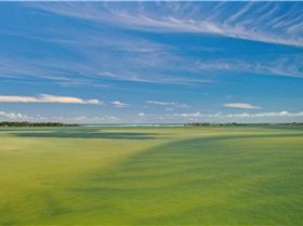 27204675510519509956533374460351350366825929n