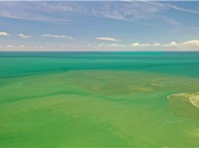 27210382410519507356533632983132194071035639n