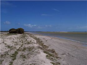 lake george Beachport