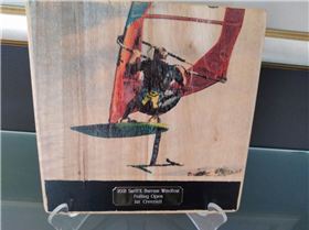 windfest foil trophy