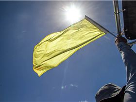 Slalom Championships 2021