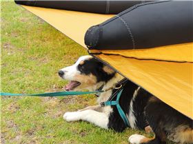 received1188088075272498