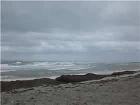 50 Knot gale hits Woodman Point