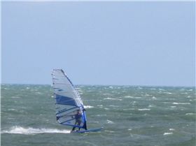 20sep08 Great action @ Elwood beach