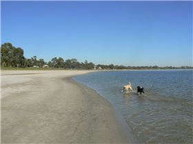 barmera lake and foreshore 9/08
