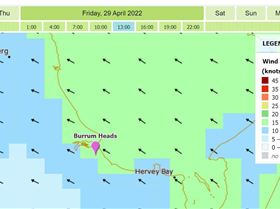 12noon friday burrum