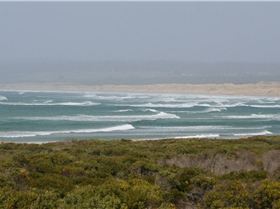 Stanley - North Coast