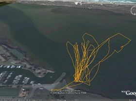 GPS track from Goolwa on the 1st of October, 2008