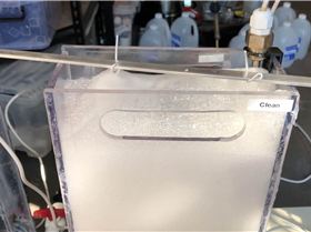 Screen Shot 2022-07-02 at 9.51.57 am