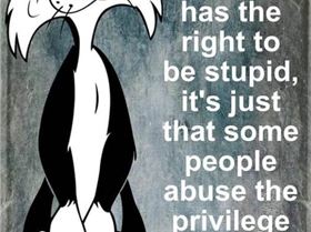 Screen Shot 2022-06-26 at 12.51.08 PM