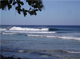 the mellow days before the swell kicked