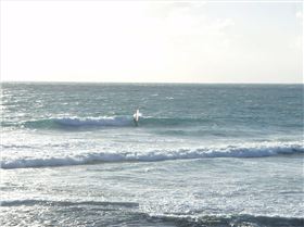 Late arvo Metts sesh