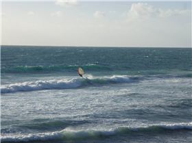 Late arvo Metts sesh