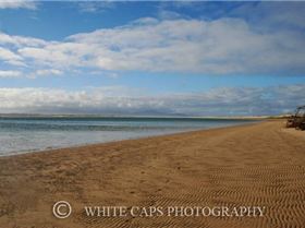 Sandy Point Speed Fortnight 08