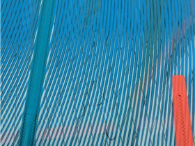 PXL20220814060403815